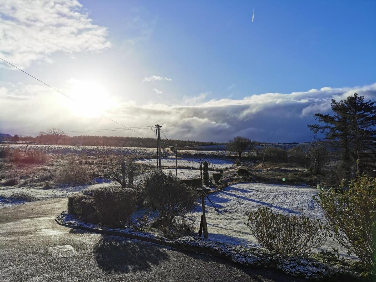 New Listing - Ladybird Cottage - Donegal - Wild Atlantic Way Donegal Town Bagian luar foto