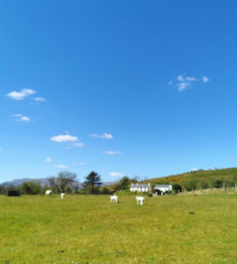 New Listing - Ladybird Cottage - Donegal - Wild Atlantic Way Donegal Town Bagian luar foto