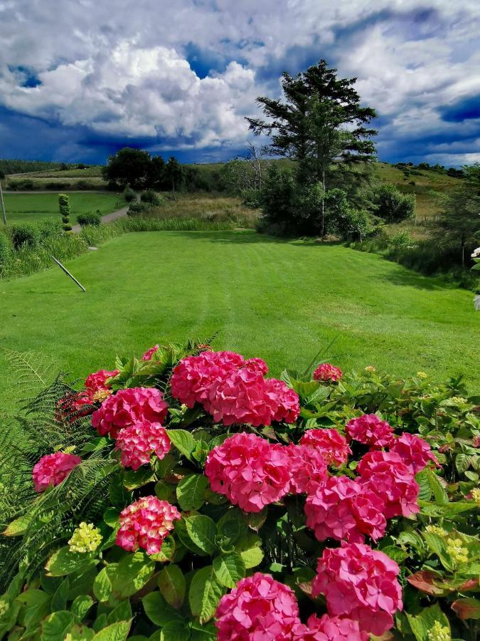 New Listing - Ladybird Cottage - Donegal - Wild Atlantic Way Donegal Town Bagian luar foto