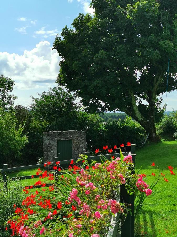New Listing - Ladybird Cottage - Donegal - Wild Atlantic Way Donegal Town Bagian luar foto