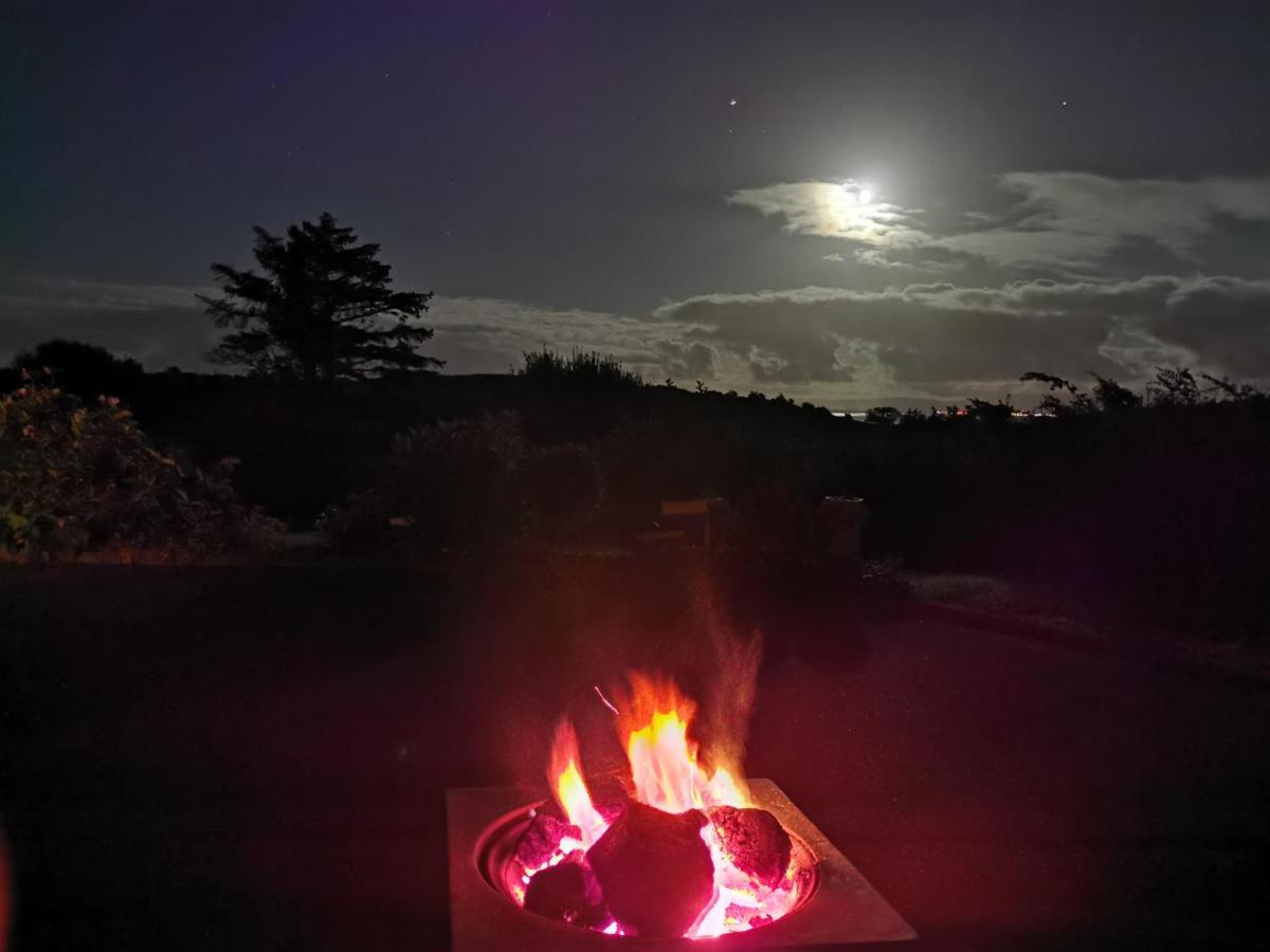 New Listing - Ladybird Cottage - Donegal - Wild Atlantic Way Donegal Town Bagian luar foto