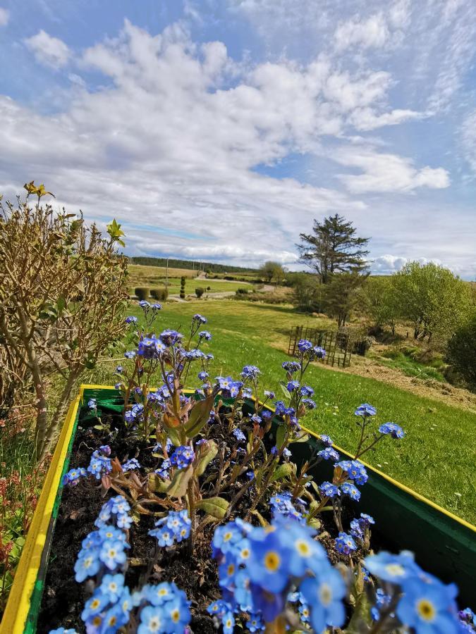 New Listing - Ladybird Cottage - Donegal - Wild Atlantic Way Donegal Town Bagian luar foto