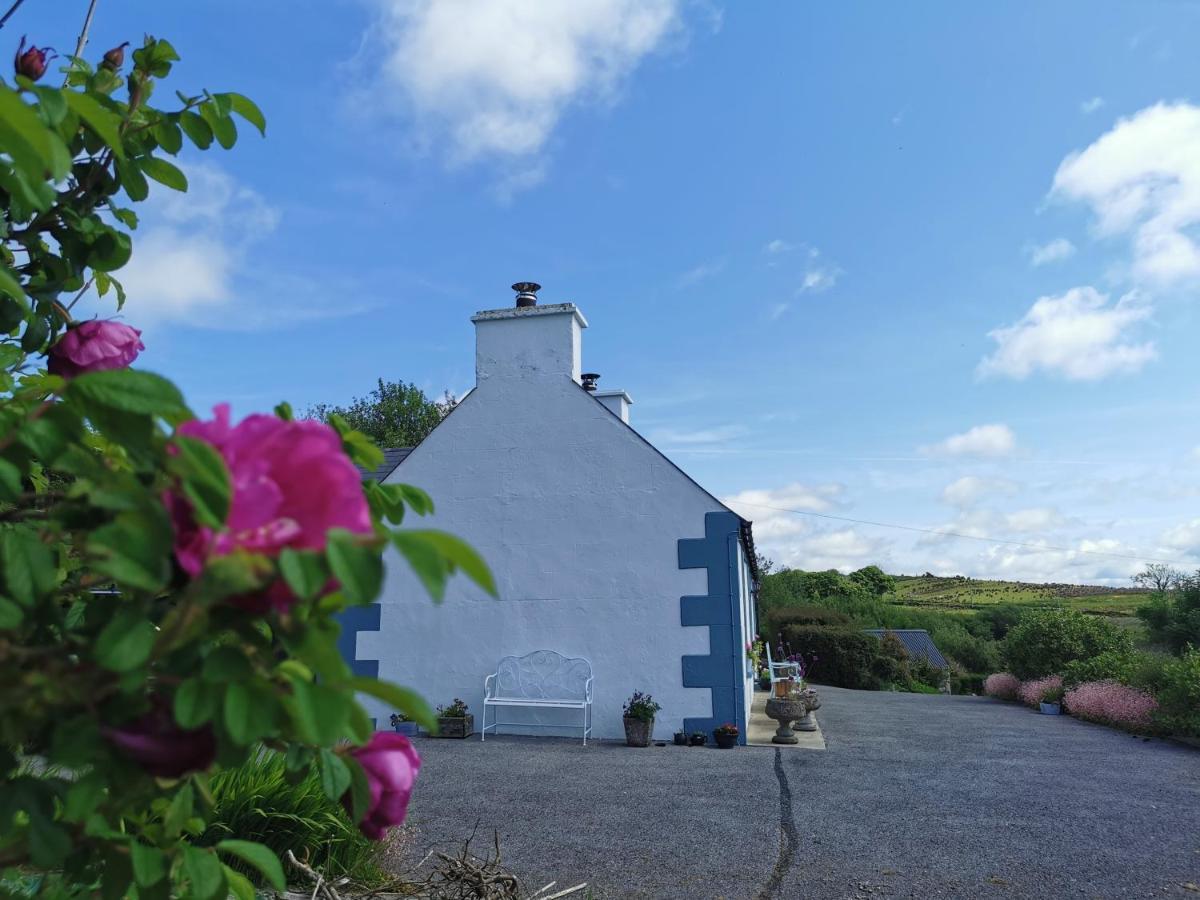 New Listing - Ladybird Cottage - Donegal - Wild Atlantic Way Donegal Town Bagian luar foto