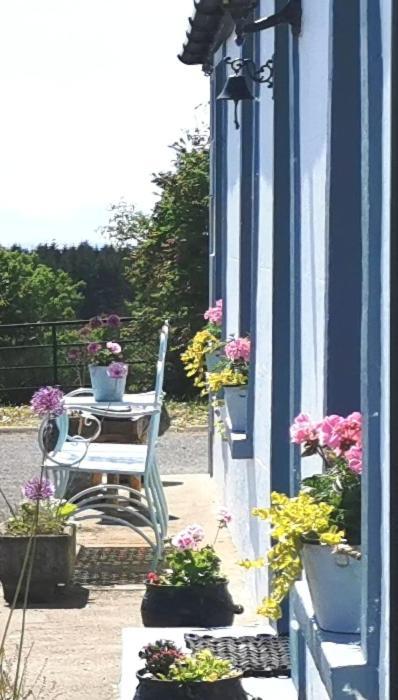New Listing - Ladybird Cottage - Donegal - Wild Atlantic Way Donegal Town Bagian luar foto