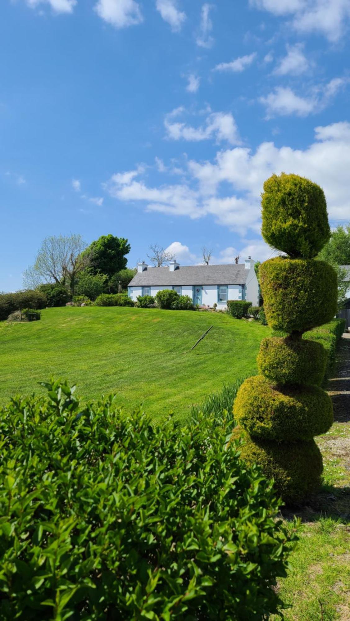New Listing - Ladybird Cottage - Donegal - Wild Atlantic Way Donegal Town Bagian luar foto